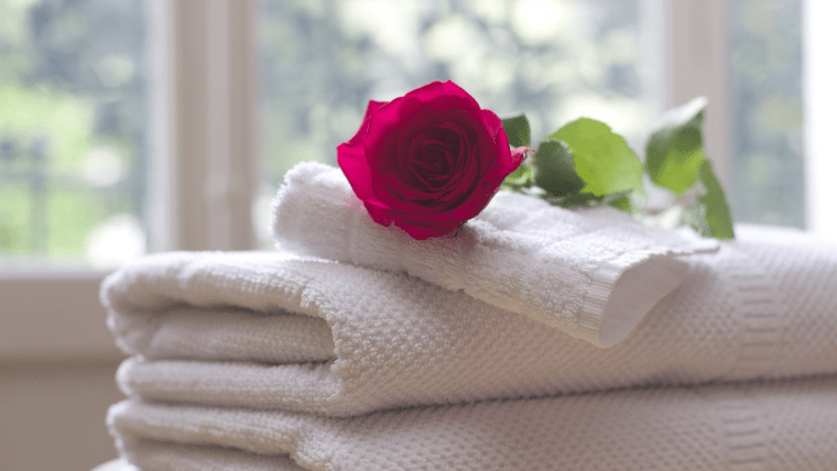 白いタオルと赤いバラ